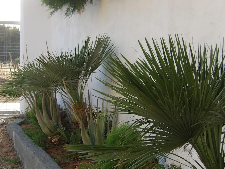 Teo 1 Apartment Gouves Exterior foto
